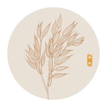線描燕麥