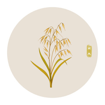 燕麥
