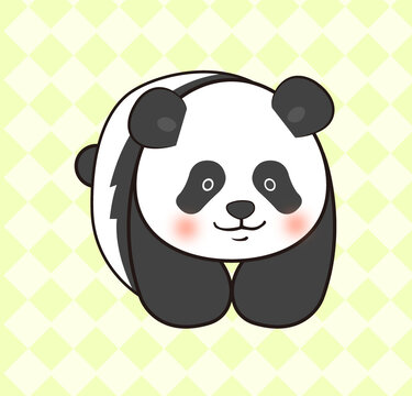 小熊貓