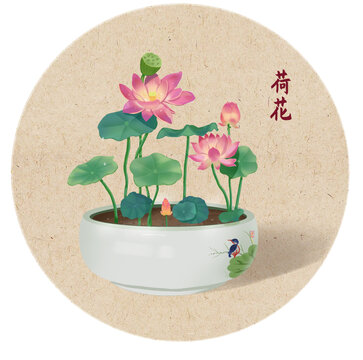 荷花