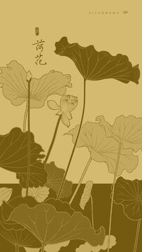 荷花插畫