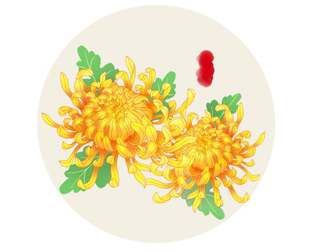 國(guó)潮菊花手繪