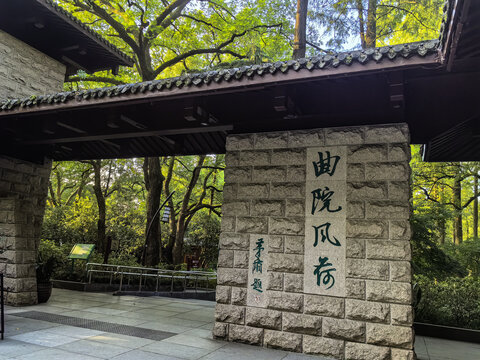 沈園曲院風(fēng)荷