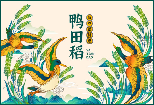 鴨田稻大米禮盒包裝插畫