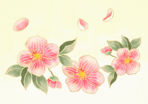 粉色桃花花瓣
