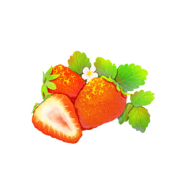 草莓插畫