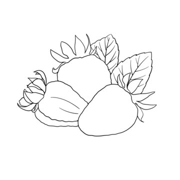 草莓