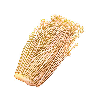 金針菇