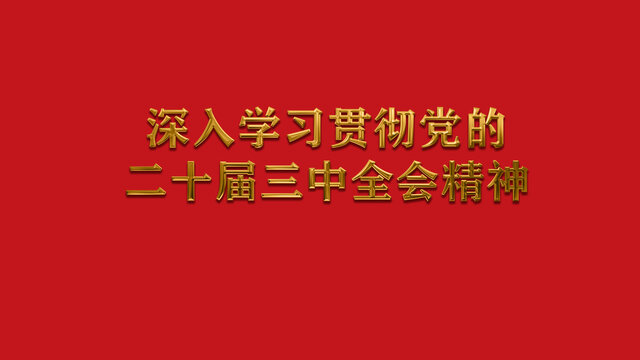 鎏金字體貫徹二十屆三中全會(huì)