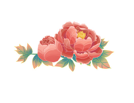 牡丹
