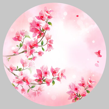 三角梅