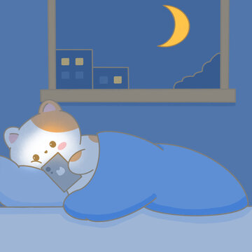 夜晚玩手機(jī)的貓咪插畫(huà)