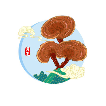 靈芝矢量插畫(huà)