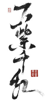 萬(wàn)紫千紅