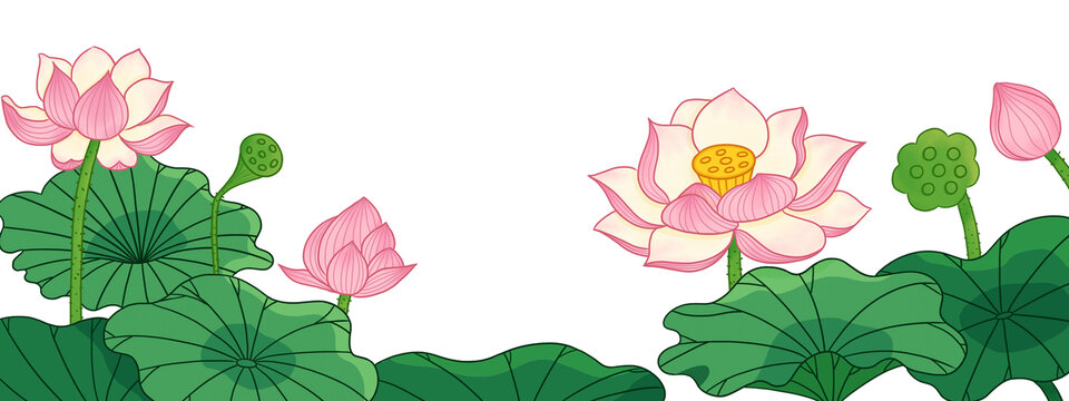 夏天荷花國風插畫