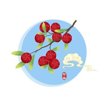 楊梅矢量包裝插畫