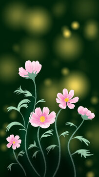 粉色雛菊