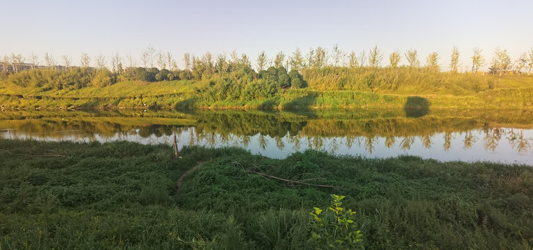 濕地公園