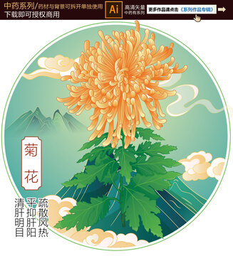 菊花