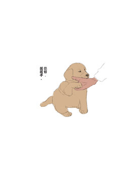 和狗狗握手