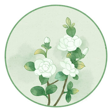 梔子花