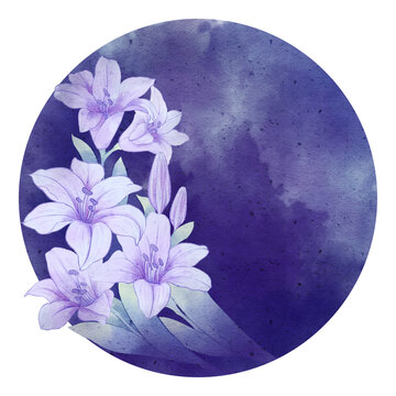 百合花