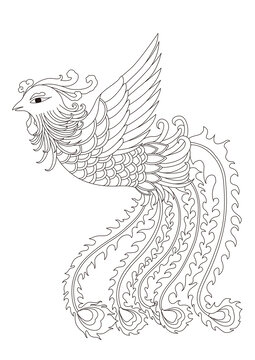 矢量鳳凰插畫(huà)線稿