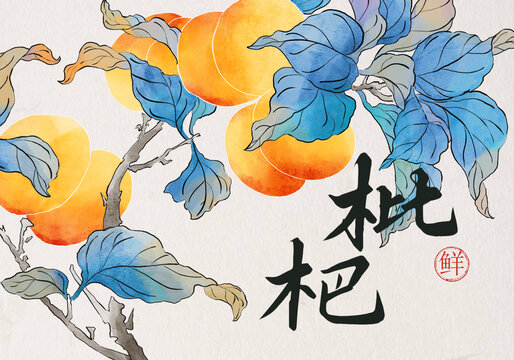 枇杷包裝