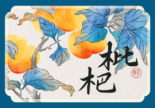 枇杷包裝設(shè)計(jì)