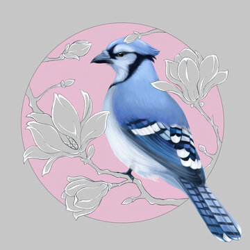 鳥與花