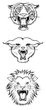 老虎獅子山貓