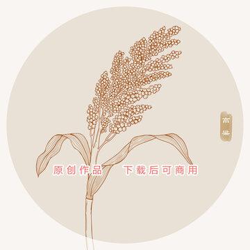 高粱