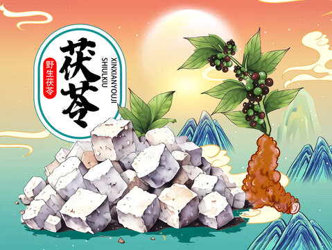 茯苓插畫