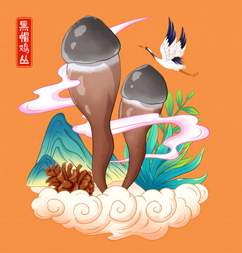 黑帽雞叢菌插畫