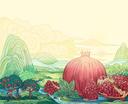 石榴插畫包裝