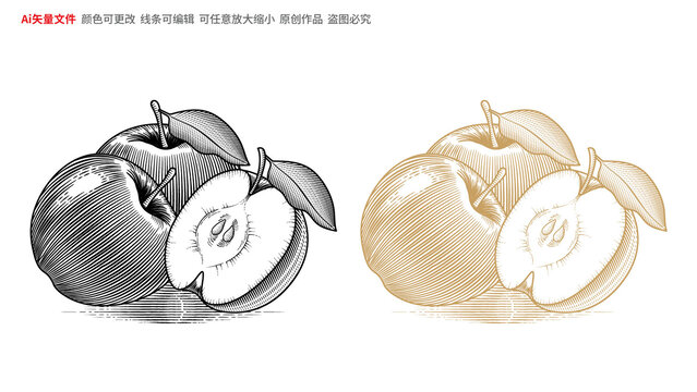 蘋(píng)果線稿