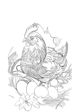 雞
