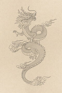 青龍國風(fēng)四大神獸插畫線描