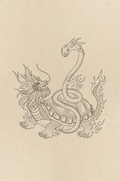 玄武國風(fēng)四大神獸插畫線描