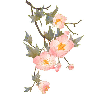 國潮芍藥花