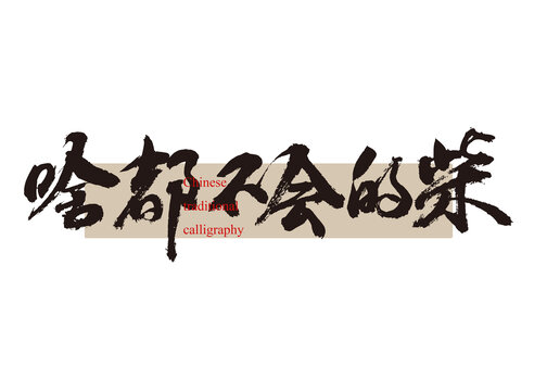 啥都不會的柴