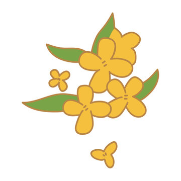 桂花