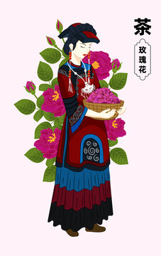 民族系列之彝族少女玫瑰花茶