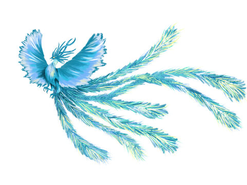 鳳凰