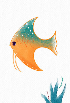 熱帶金魚