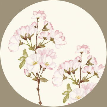水彩桃花
