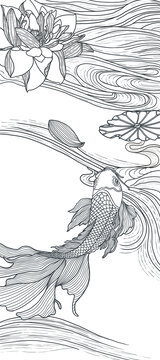 荷花線稿插畫(huà)