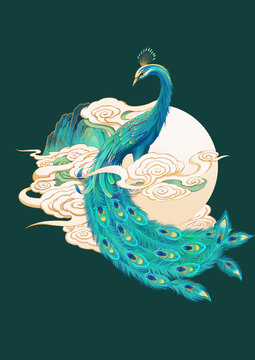 孔雀