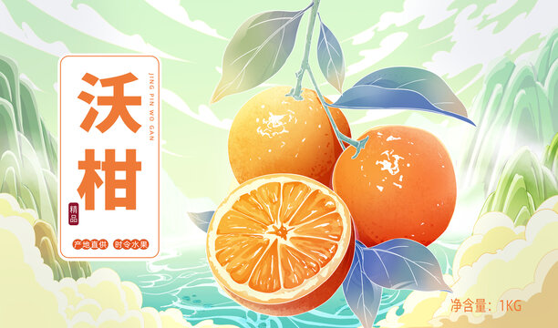 國潮水果沃柑包裝插畫