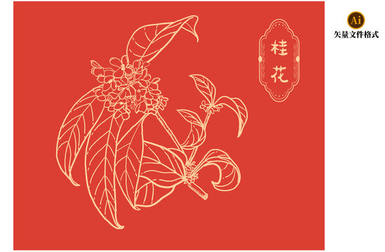 桂花